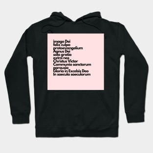 latin summary of the faith, pink Hoodie